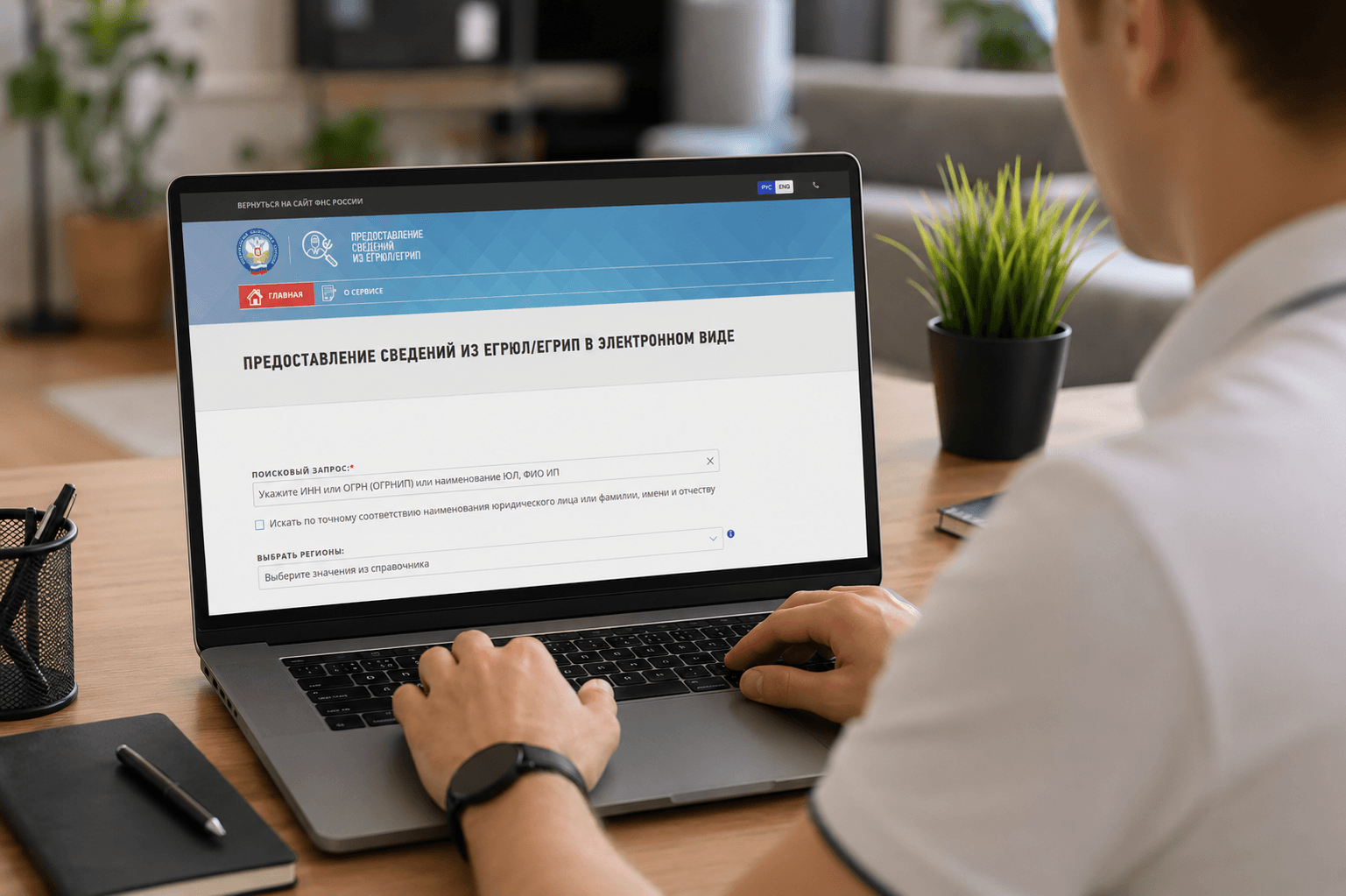 Проверка компании по данным ФНС